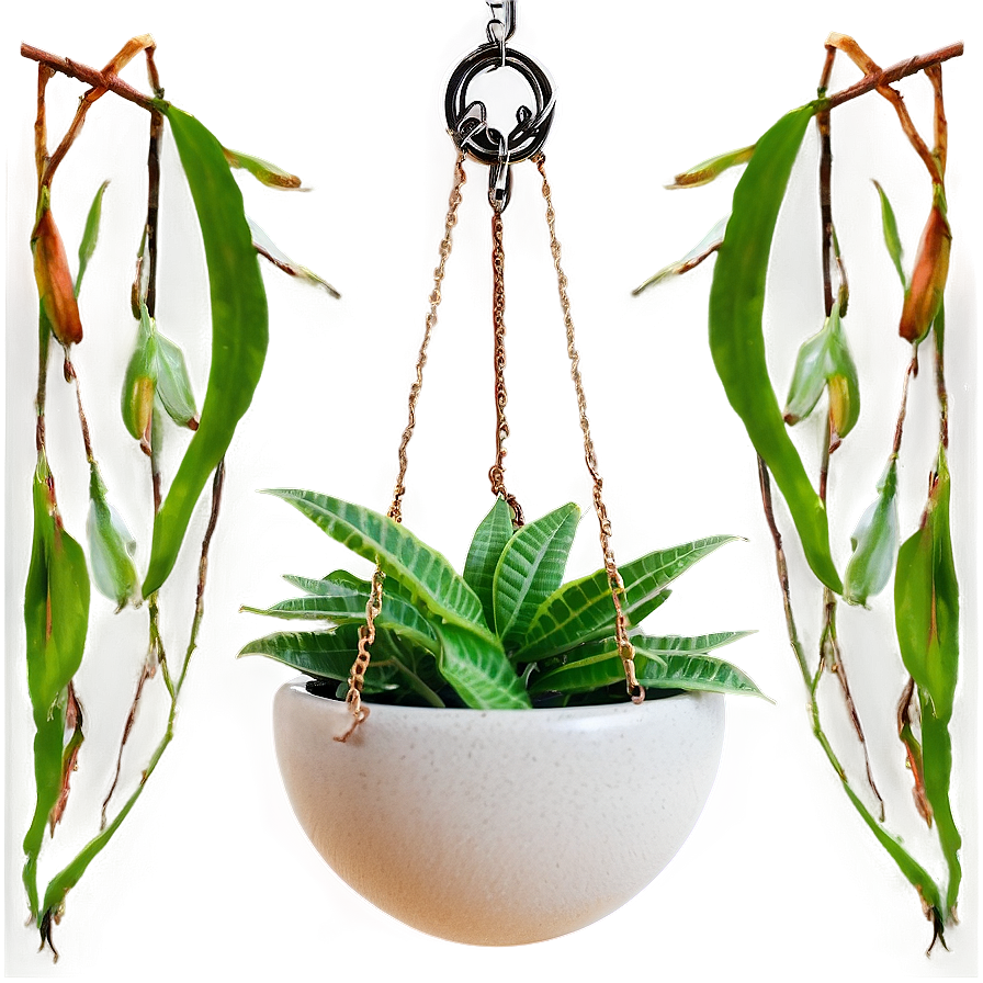 Diy Hanging Plant Png Gmp PNG image