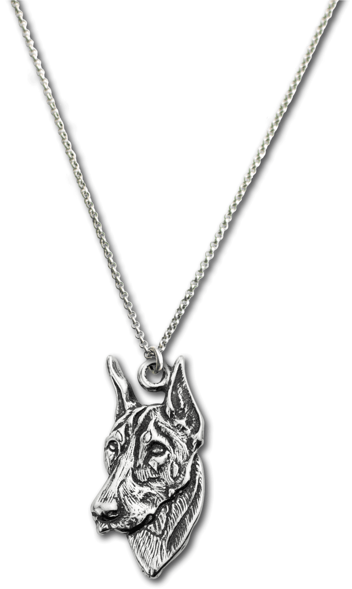 Doberman Pendant Jewelry PNG image