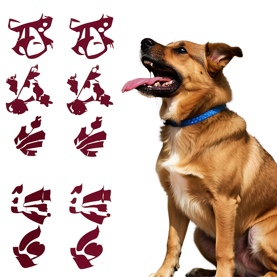 Dog Barking At Ball Png 31 PNG image