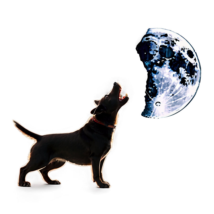 Dog Barking At Moon Png 06272024 PNG image