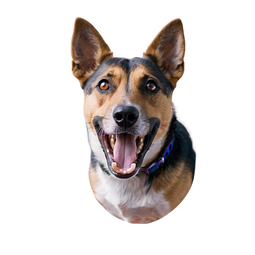 Dog Barking C PNG image