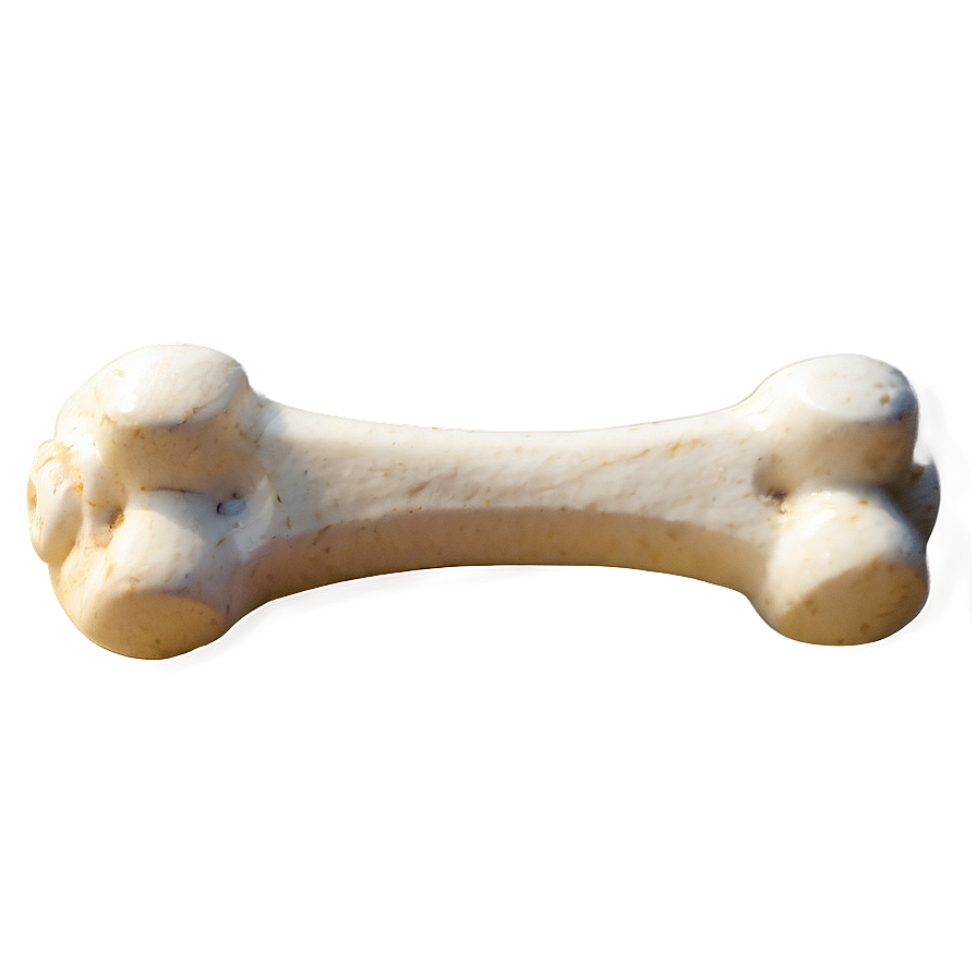 Dog Bone Png 82 PNG image