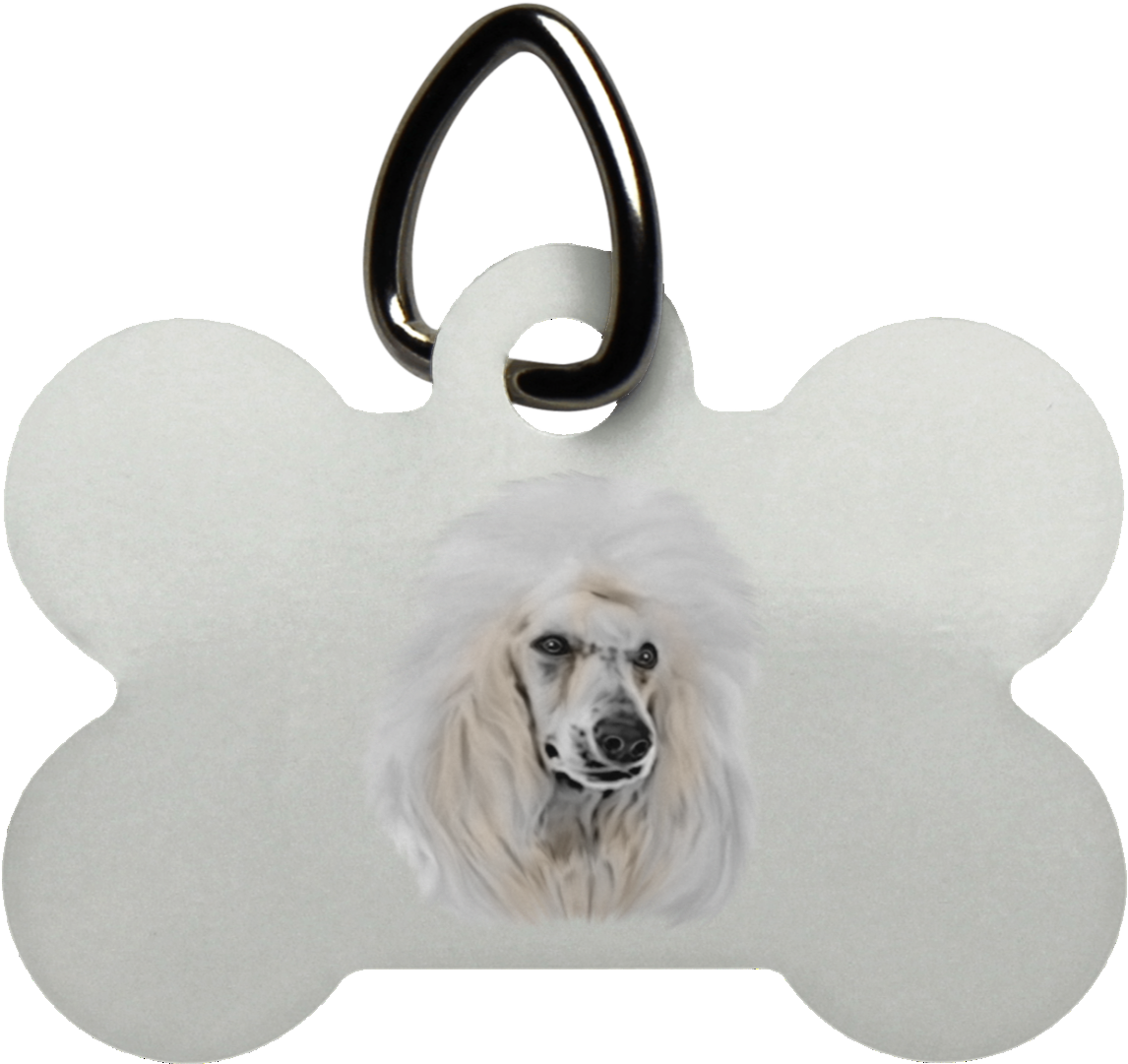 Dog Bone Tagwith Poodle Graphic PNG image