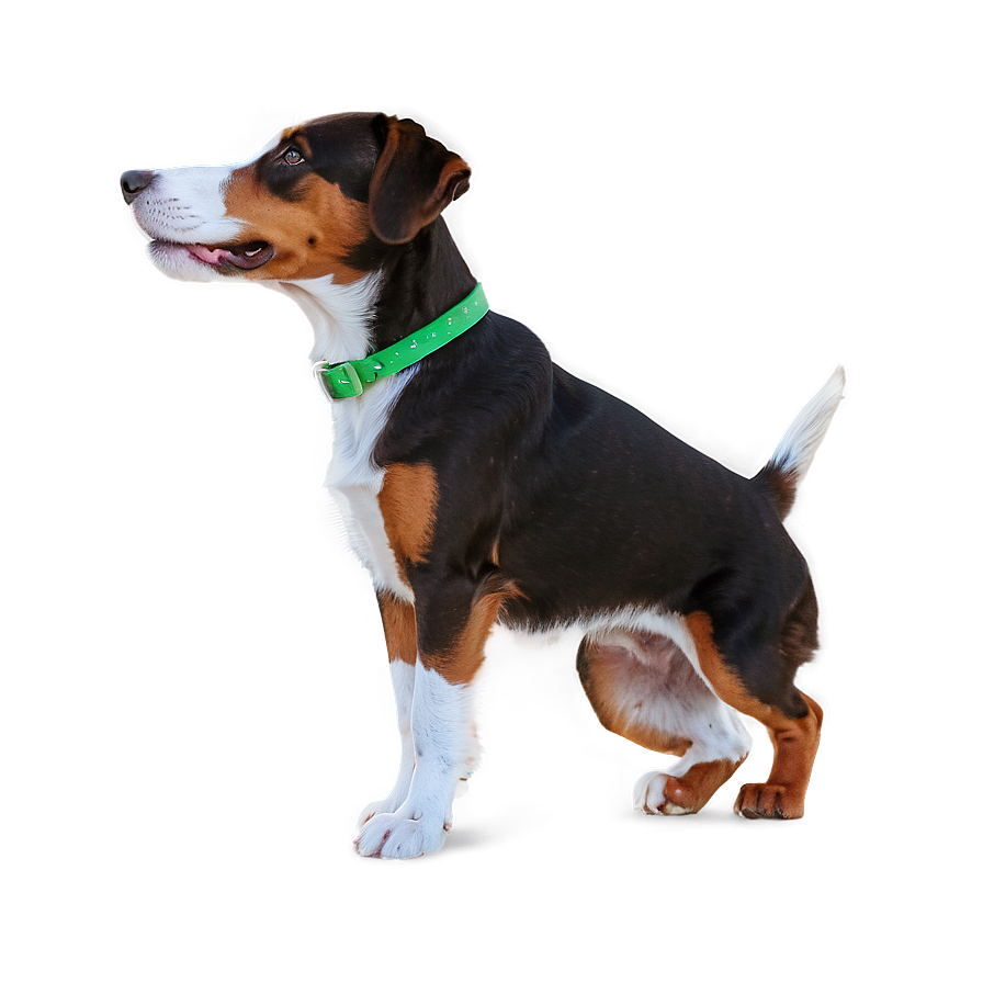 Dog Cartoon Transparent Background Png Jex22 PNG image