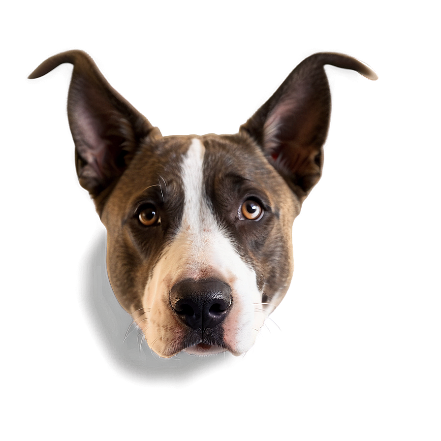 Dog Face With Ears Up Png 96 PNG image