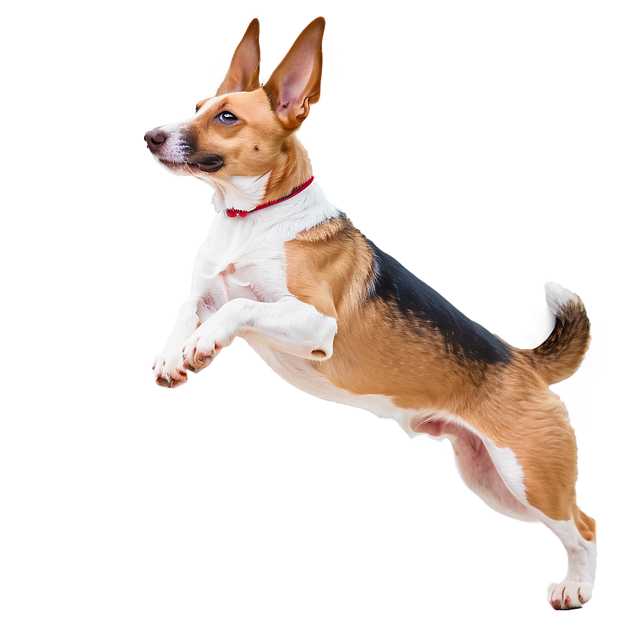 Dog Jumping Transparent Png Iek33 PNG image