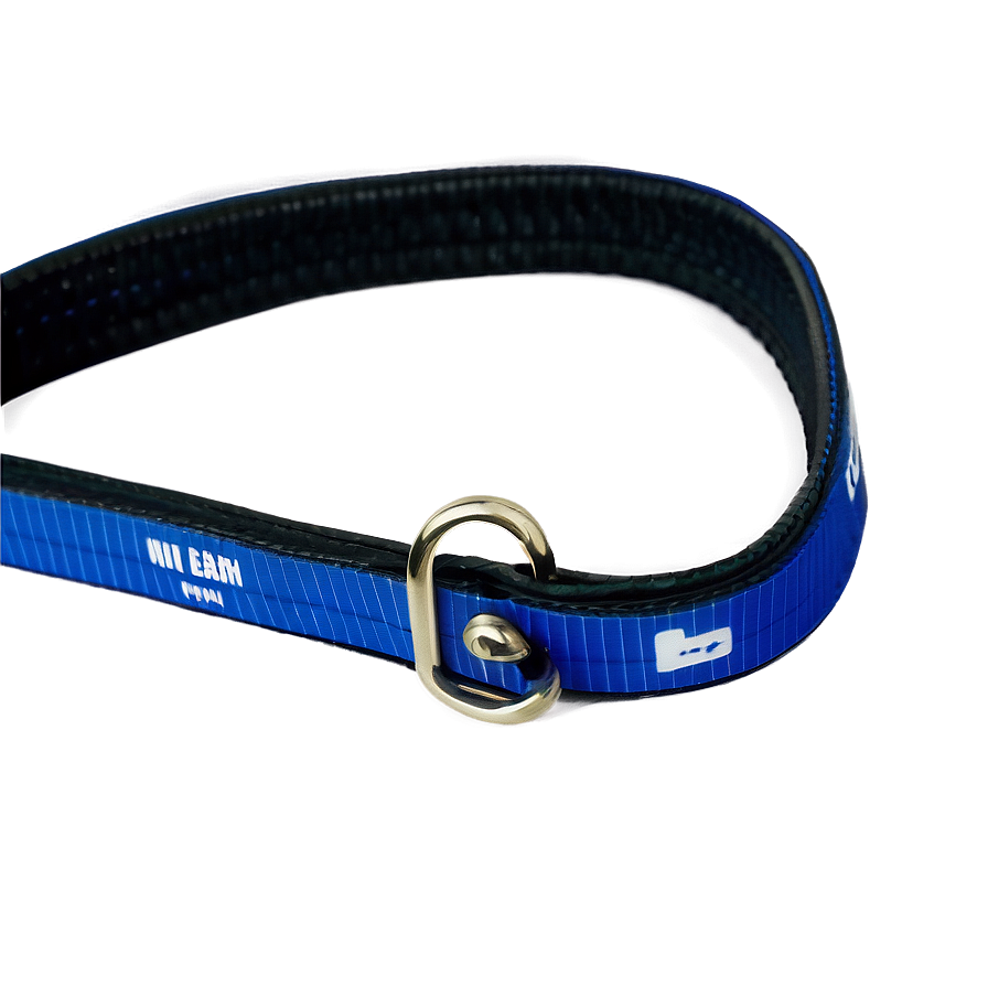 Dog Leash D PNG image