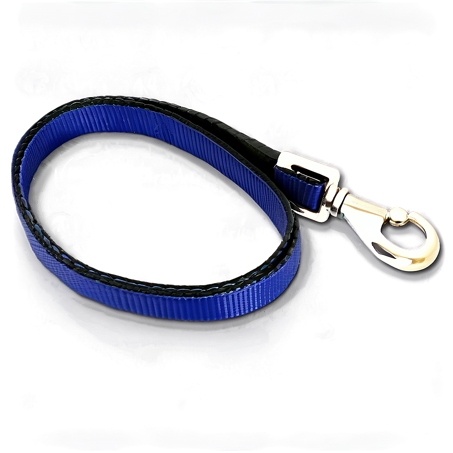 Dog Leash Png Eyr82 PNG image