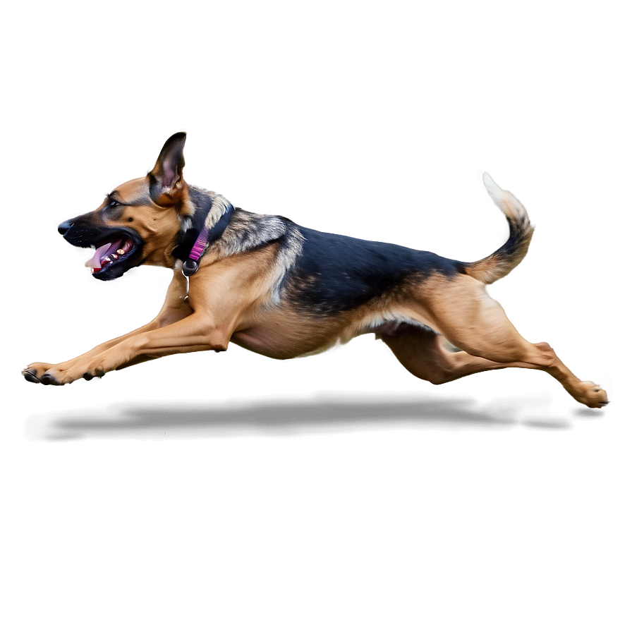 Dog Running Action Png 06132024 PNG image