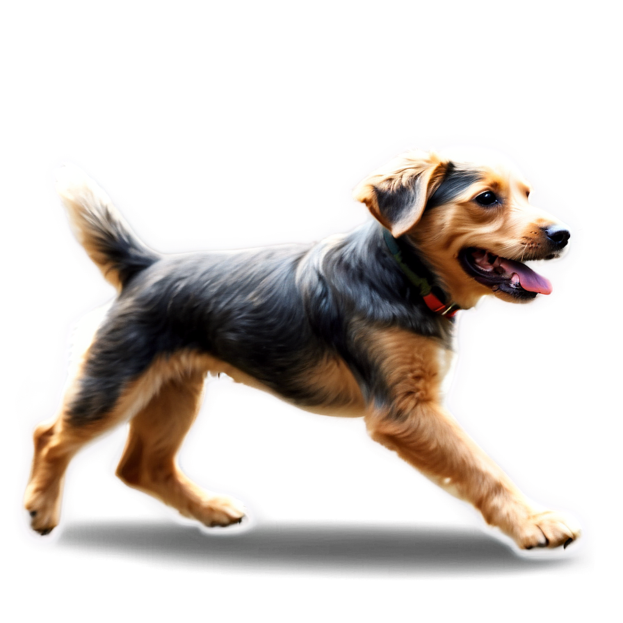 Dog Running Side View Png 06132024 PNG image