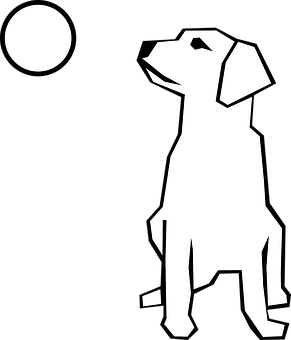 Dog Silhouette Gazingat Moon PNG image