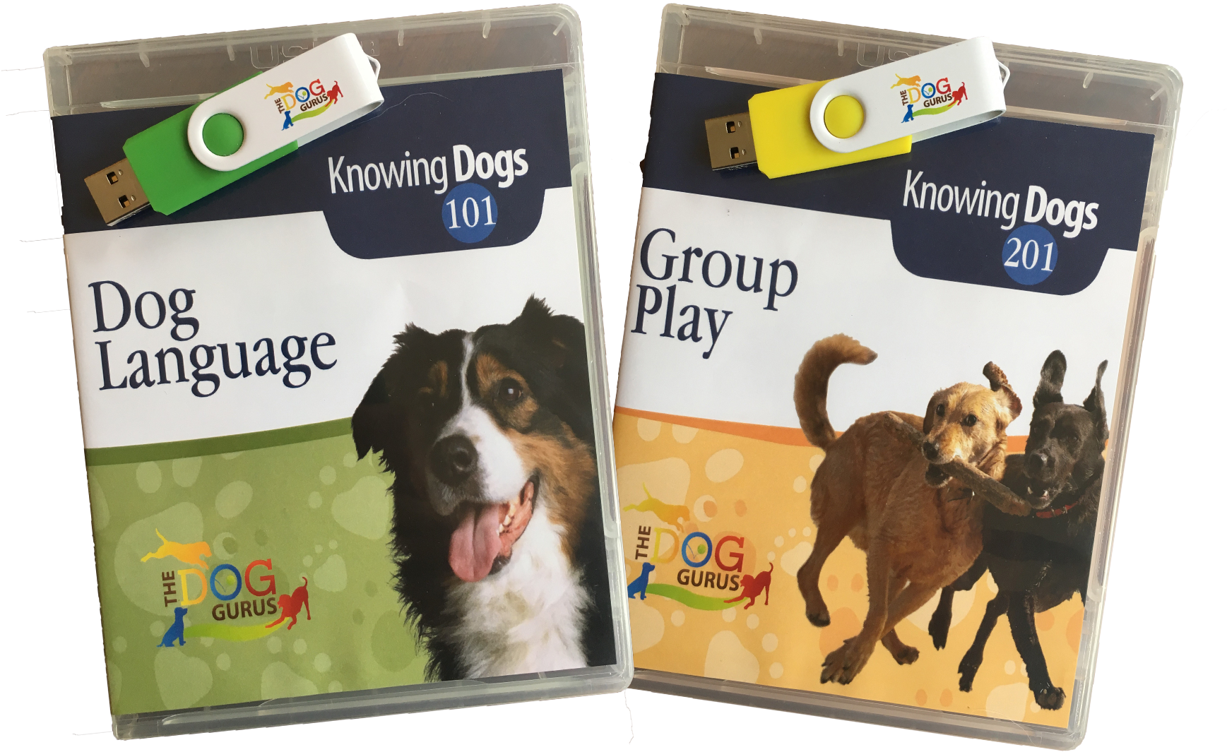 Dog Training Course Materials U S B Drive PNG image