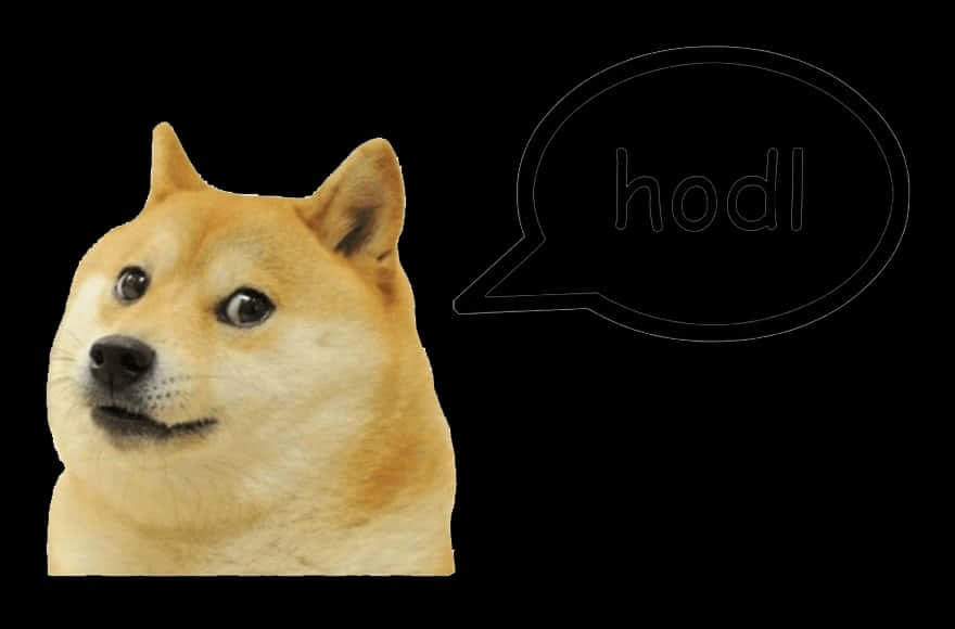 Doge Hodl Meme PNG image