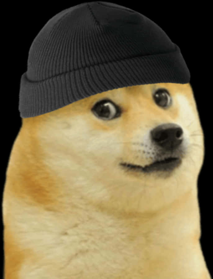 Doge In Beanie Meme.jpg PNG image