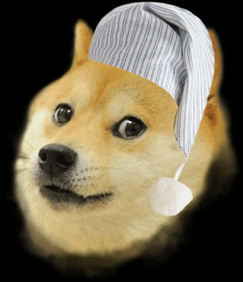 Doge In Sleep Cap Meme PNG image