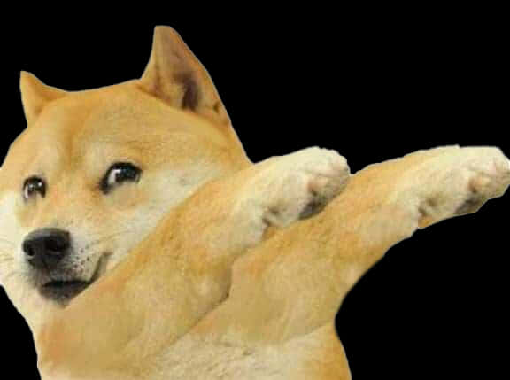 Doge Meme Png Images (100++)