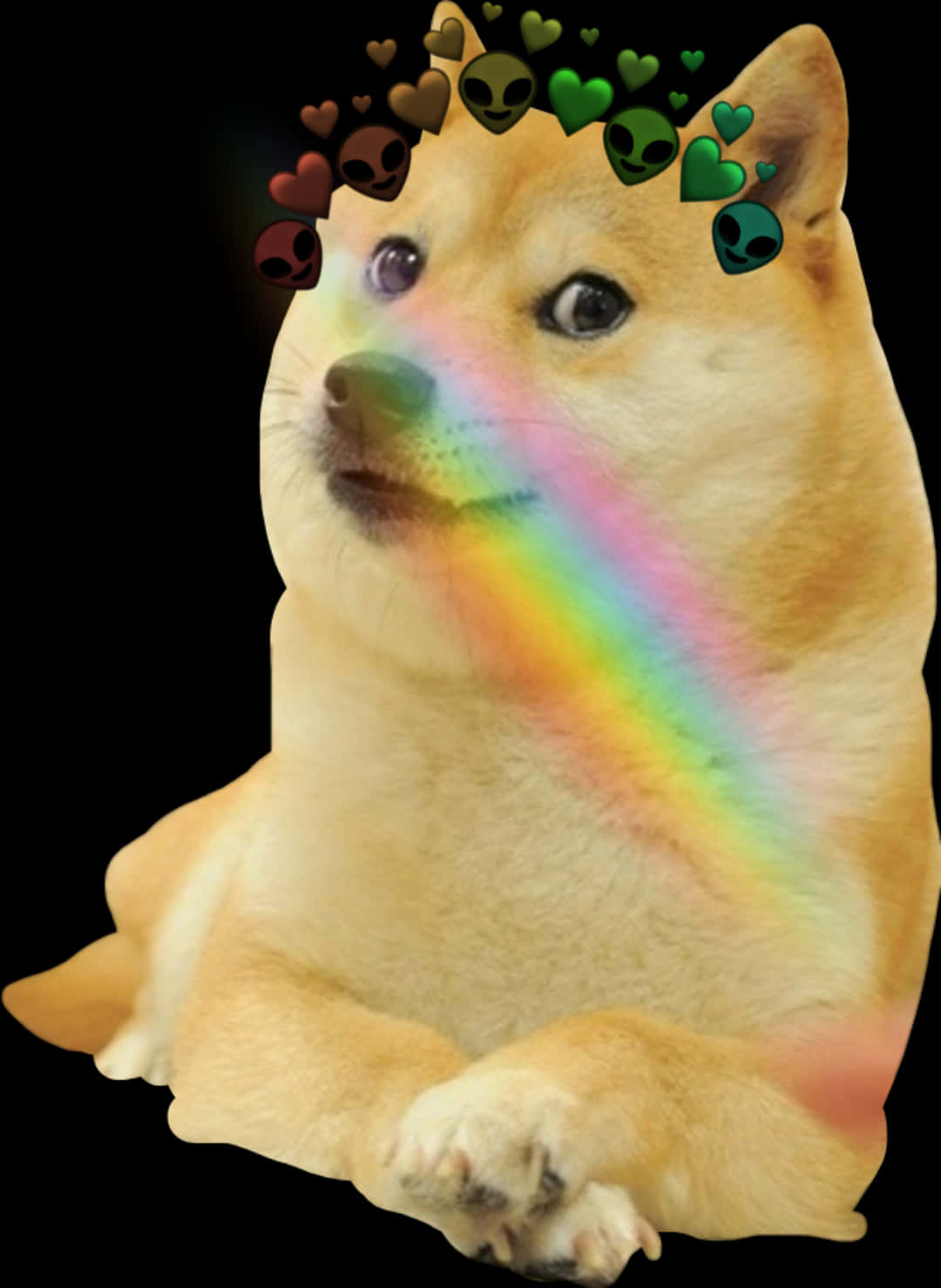 Doge_ Rainbow_ Meme.jpg PNG image