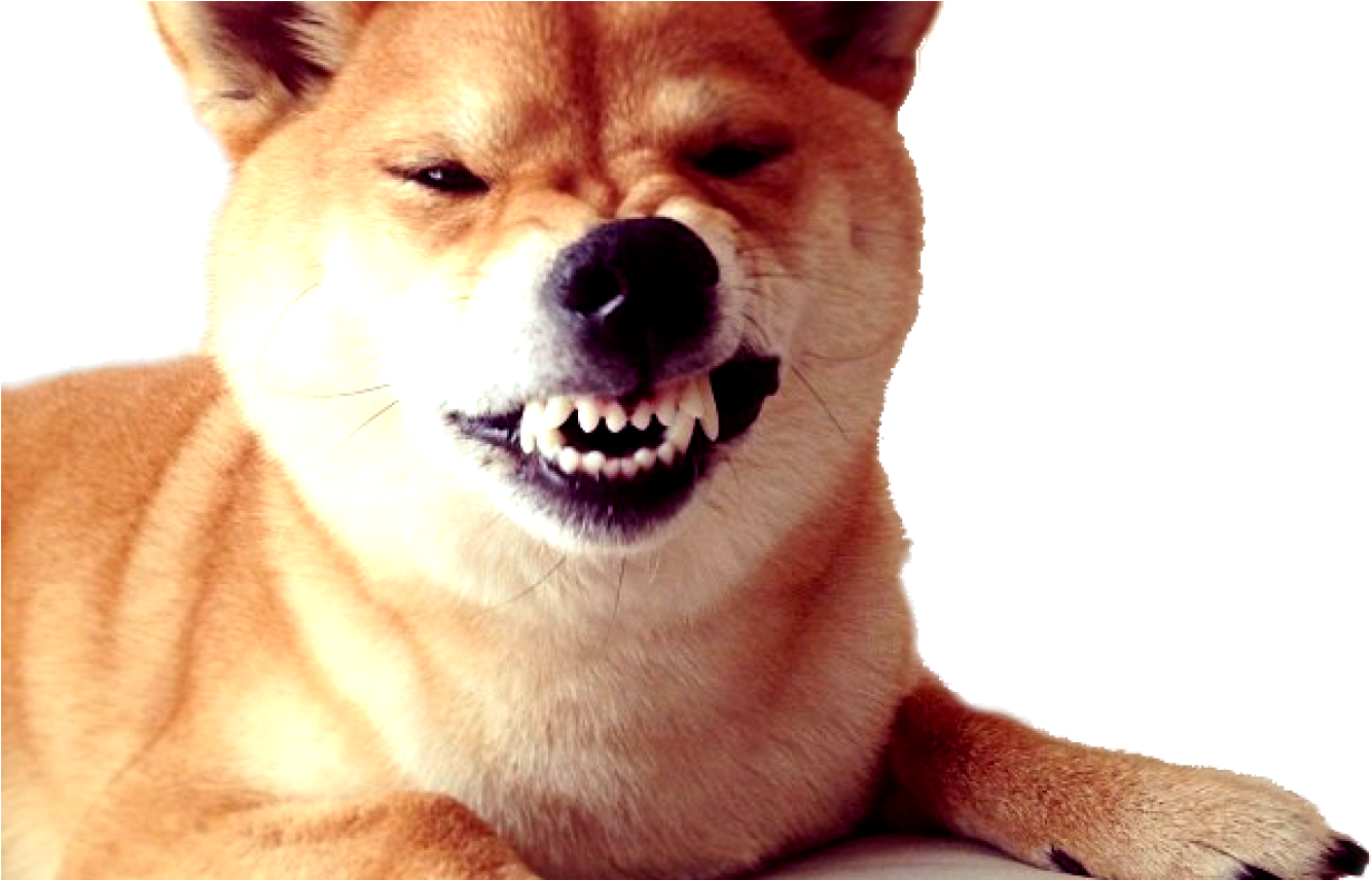 Dogecoin Inspired Shiba Inu PNG image