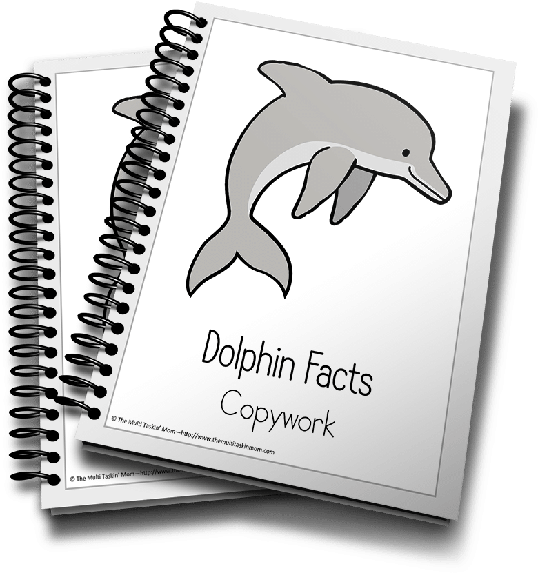 Dolphin Facts Copywork Notebooks PNG image