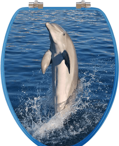Dolphin Jumping Through Hoop PNG image
