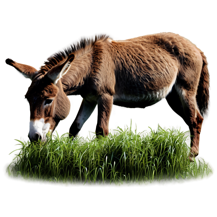 Donkey Eating Grass Png Ele PNG image