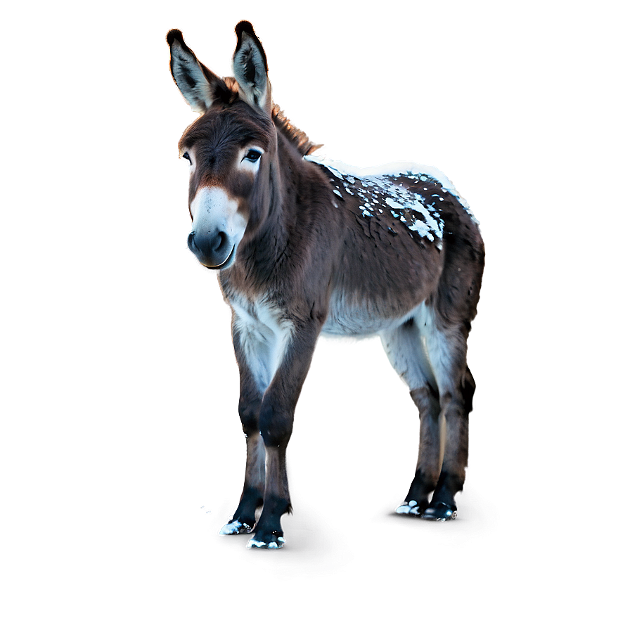 Donkey In Snow Png Bjx PNG image