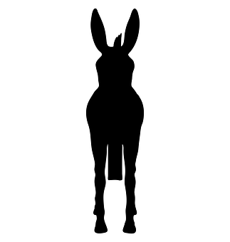 Donkey Silhouette Graphic PNG image