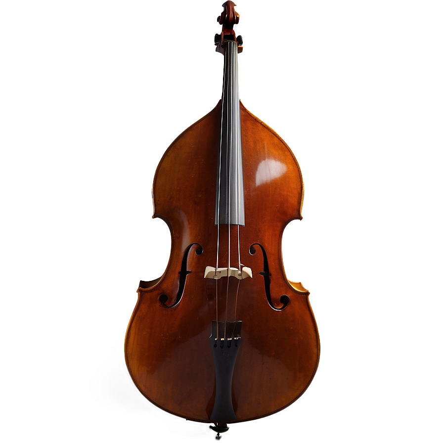 Double Bass D PNG image