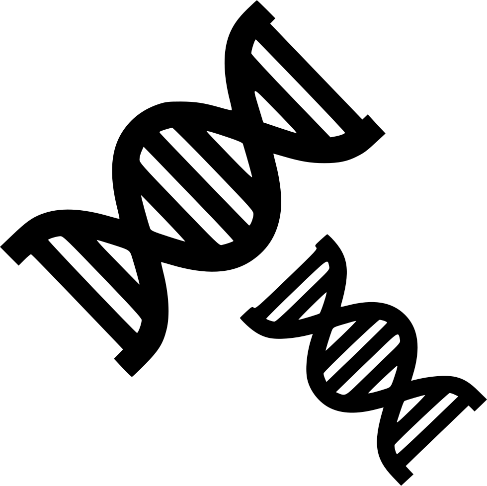 Double Helix D N A Graphic PNG image