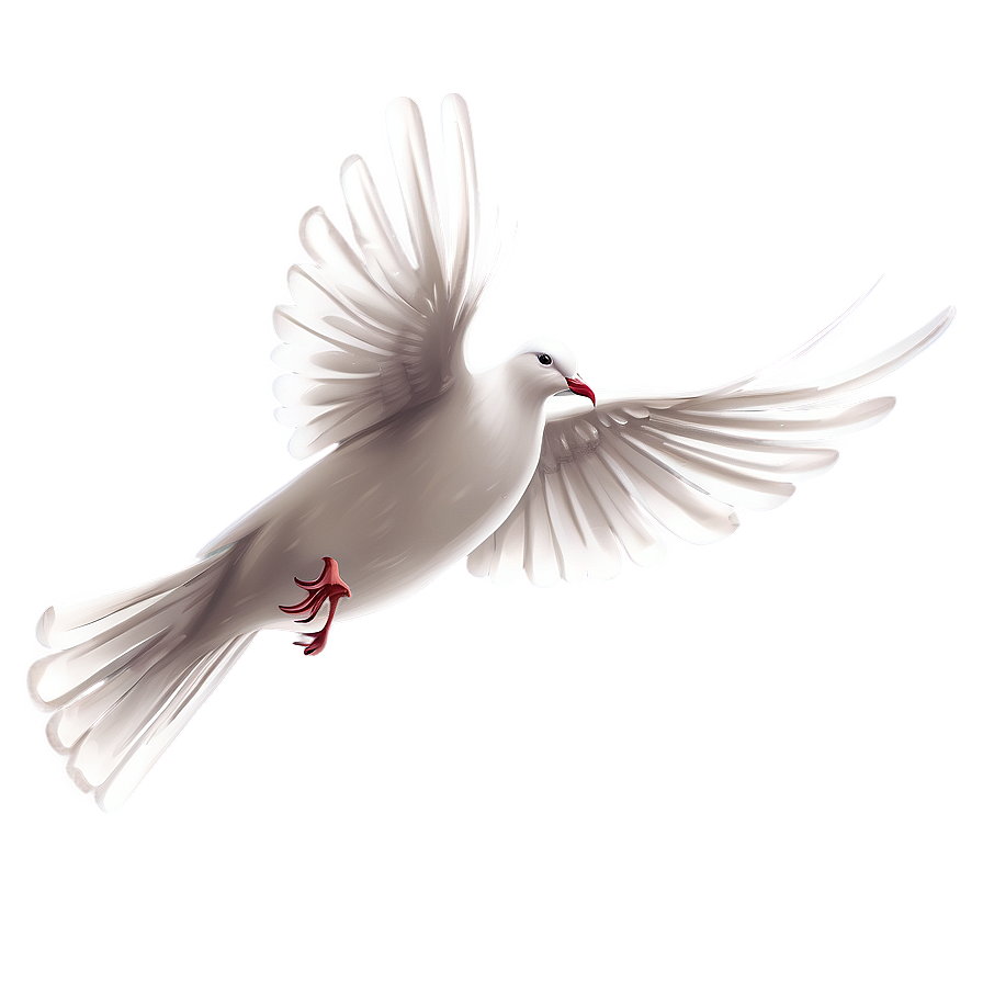 Dove Clipart C PNG image