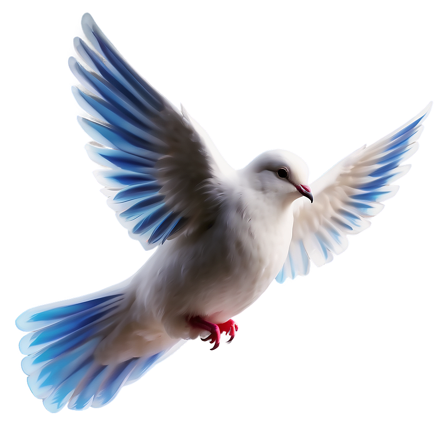 Dove Clipart For Peace Day Png 06262024 PNG image