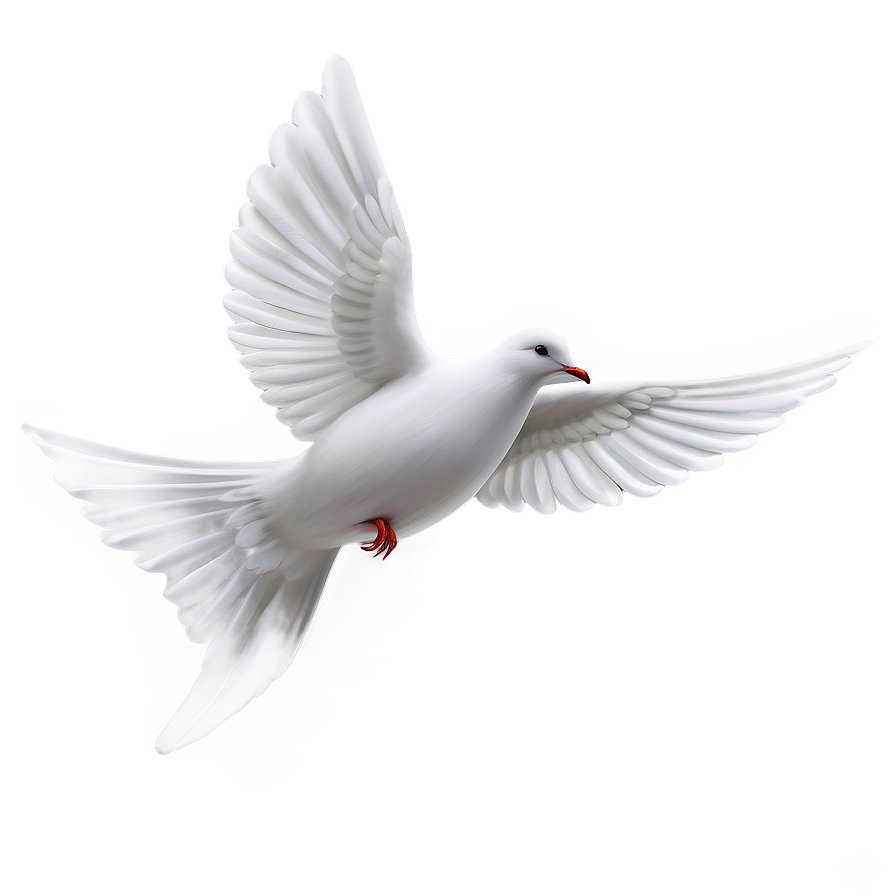 Dove Decoration Png Uwh76 PNG image
