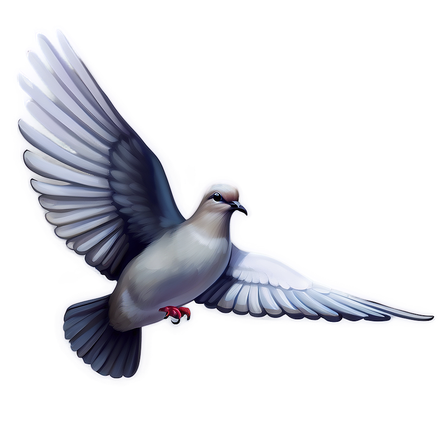 Dove Drawing Clipart Png 4 PNG image