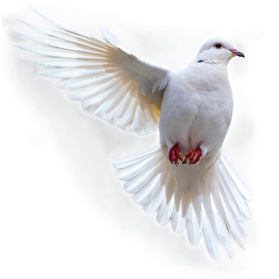 Dove Flying Png Wan PNG image