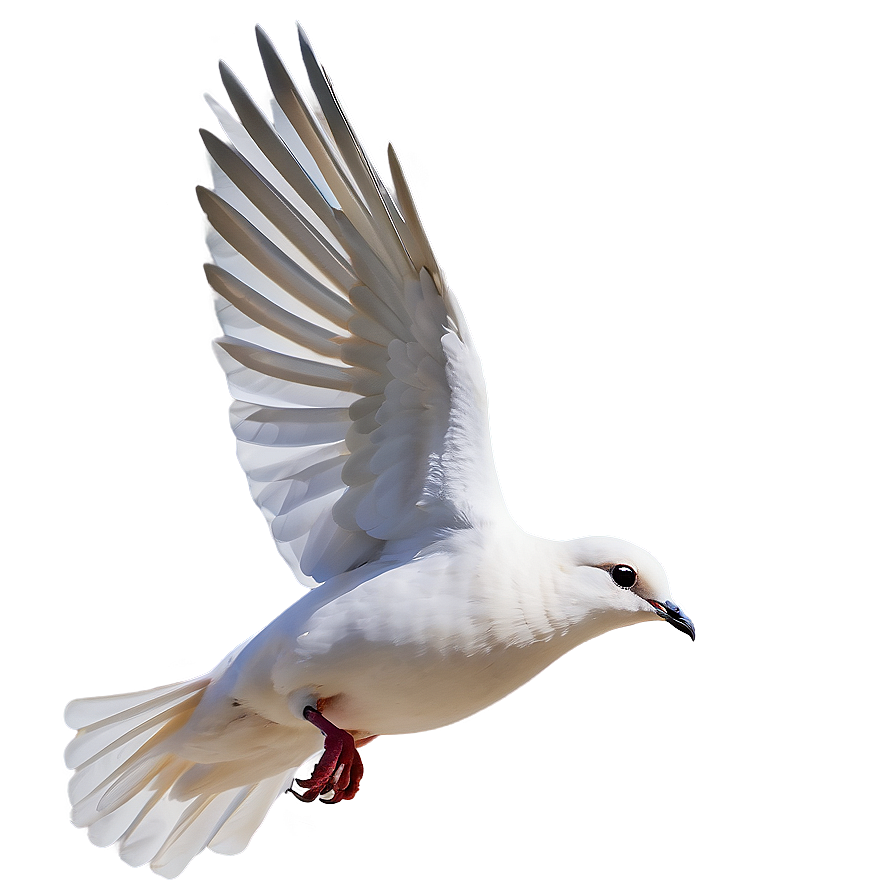 Dove In Flight Clipart Png Tsb PNG image