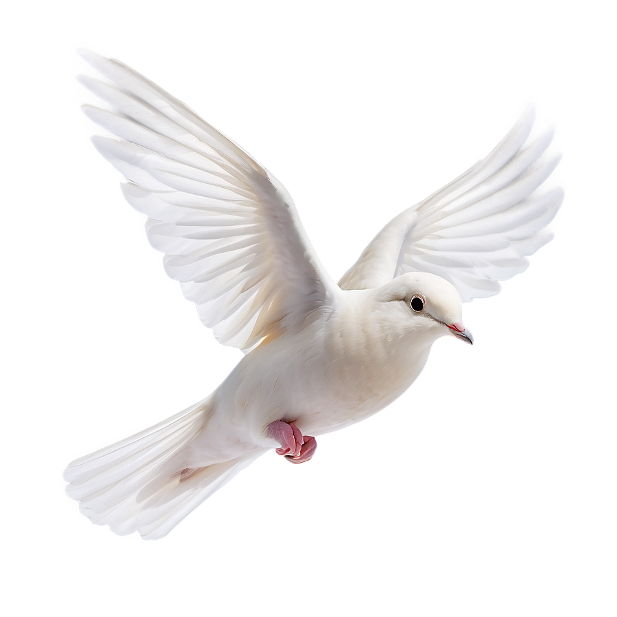 Dove In Flight Png Ieu PNG image