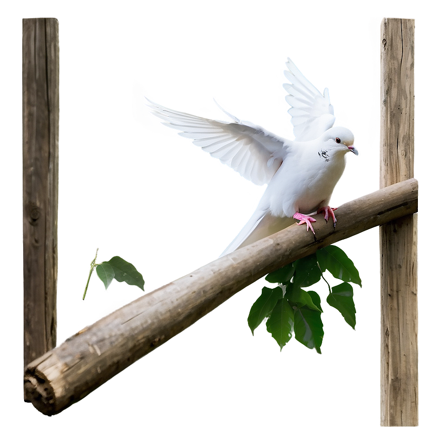 Dove Release Png 05042024 PNG image