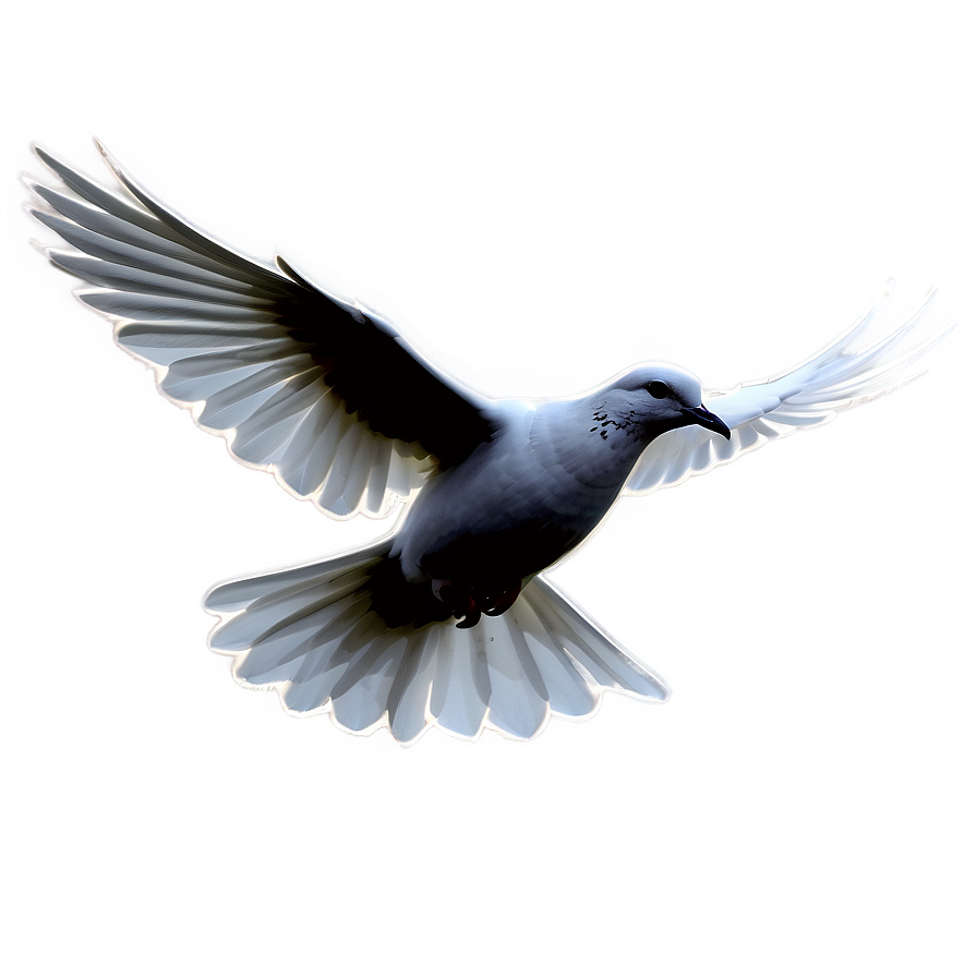 Dove Silhouette Clipart Png 29 PNG image