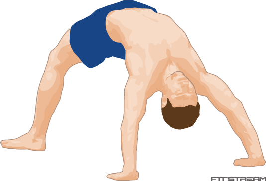 Downward Dog Yoga Pose Illustration PNG image