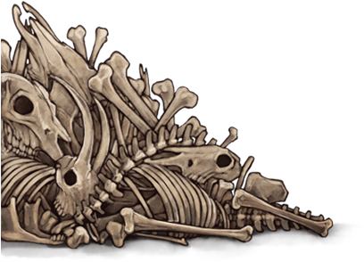 Dragon Skeleton Artwork PNG image