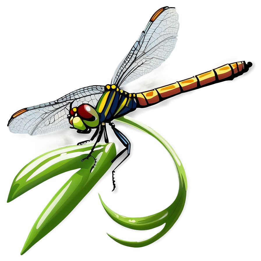 Dragonfly On Leaf Png 05212024 PNG image