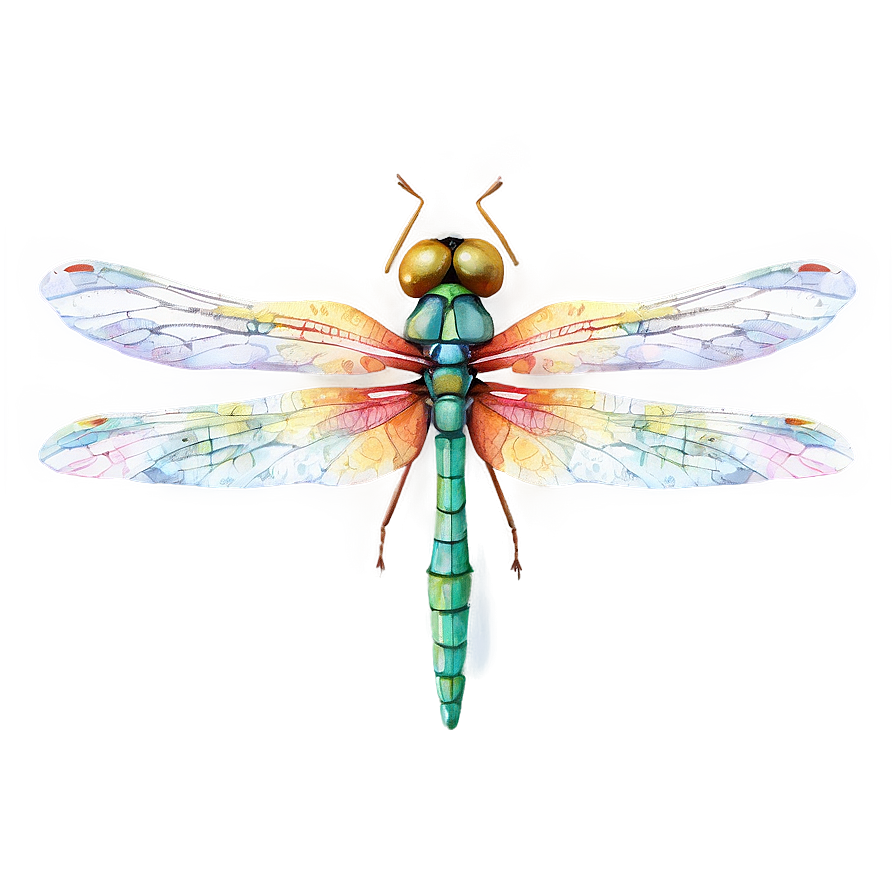 Dragonfly Watercolor Art Png 05212024 PNG image