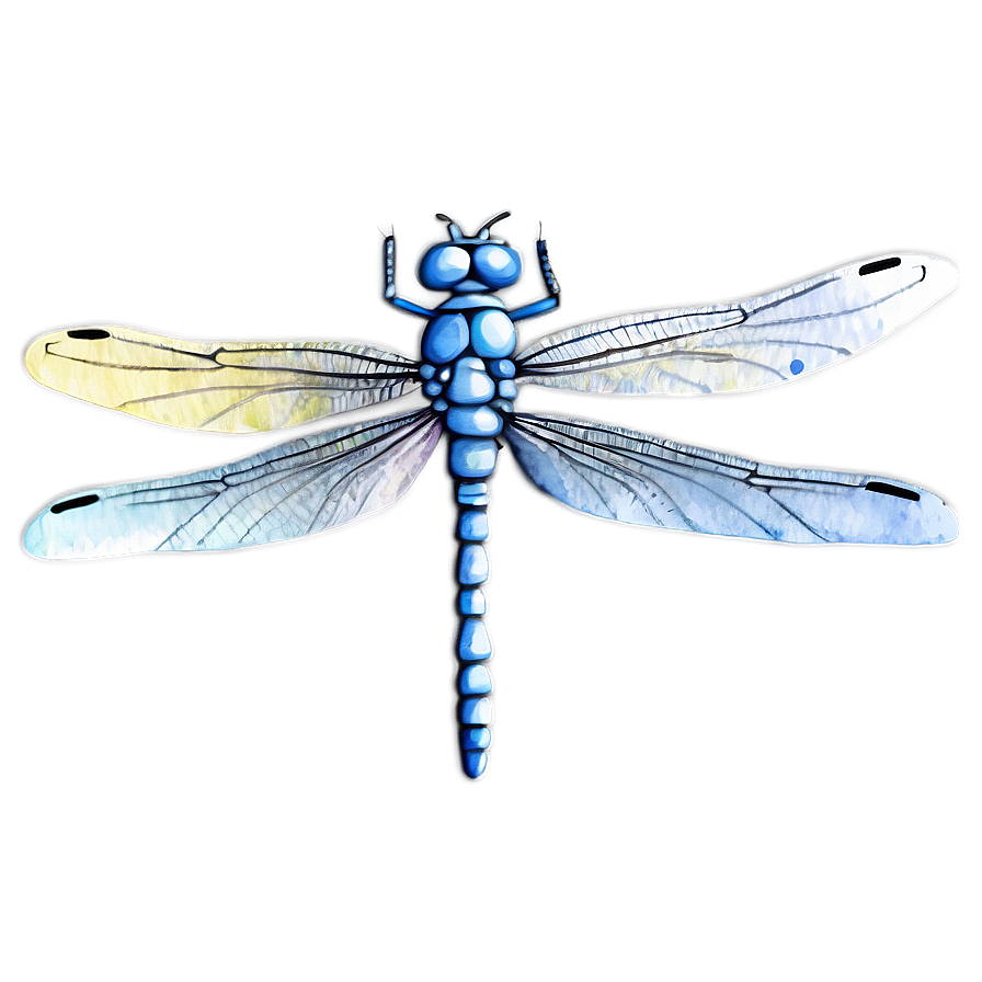 Dragonfly Watercolor Art Png 7 PNG image