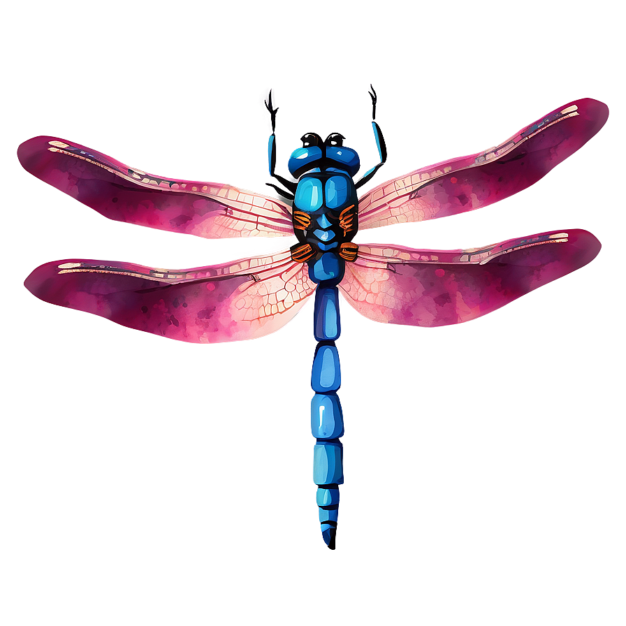 Dragonfly Watercolor Art Png 76 PNG image