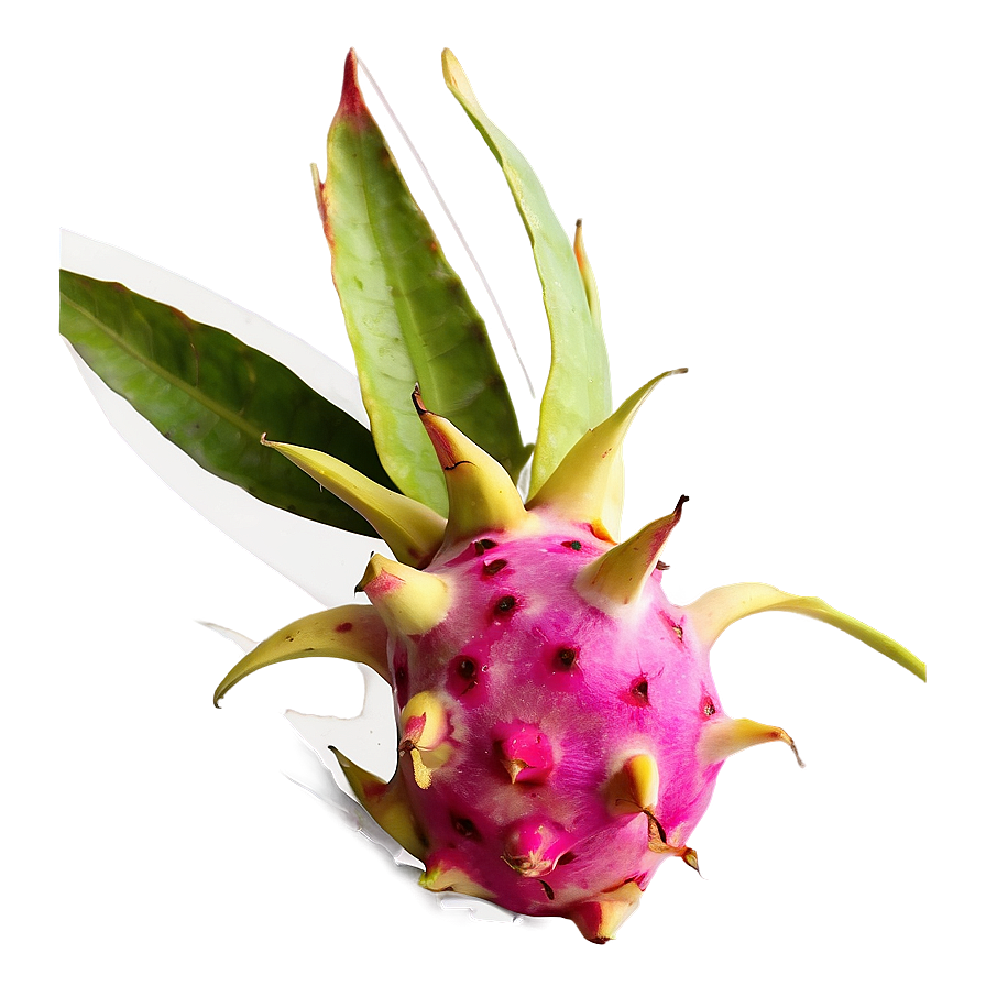 Dragonfruit On Kitchen Counter Png 06122024 PNG image