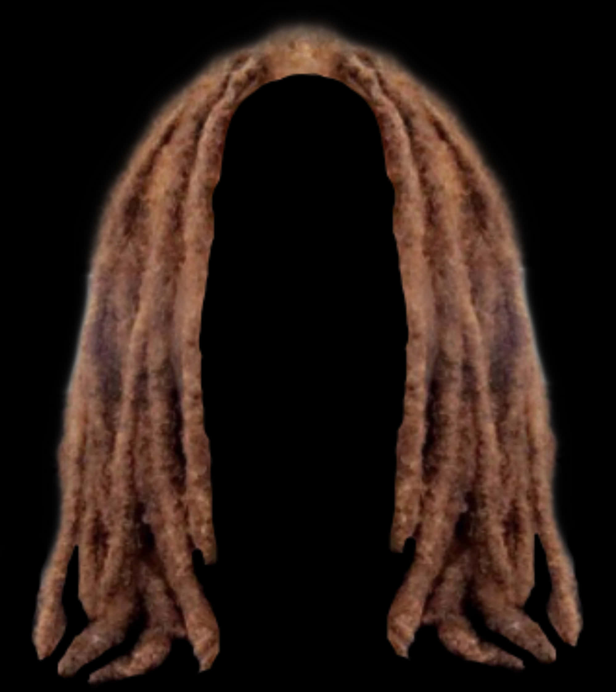 Dreadlocks_ Silhouette PNG image