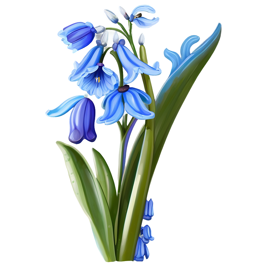 Dreamy Bluebell Png Kxd PNG image