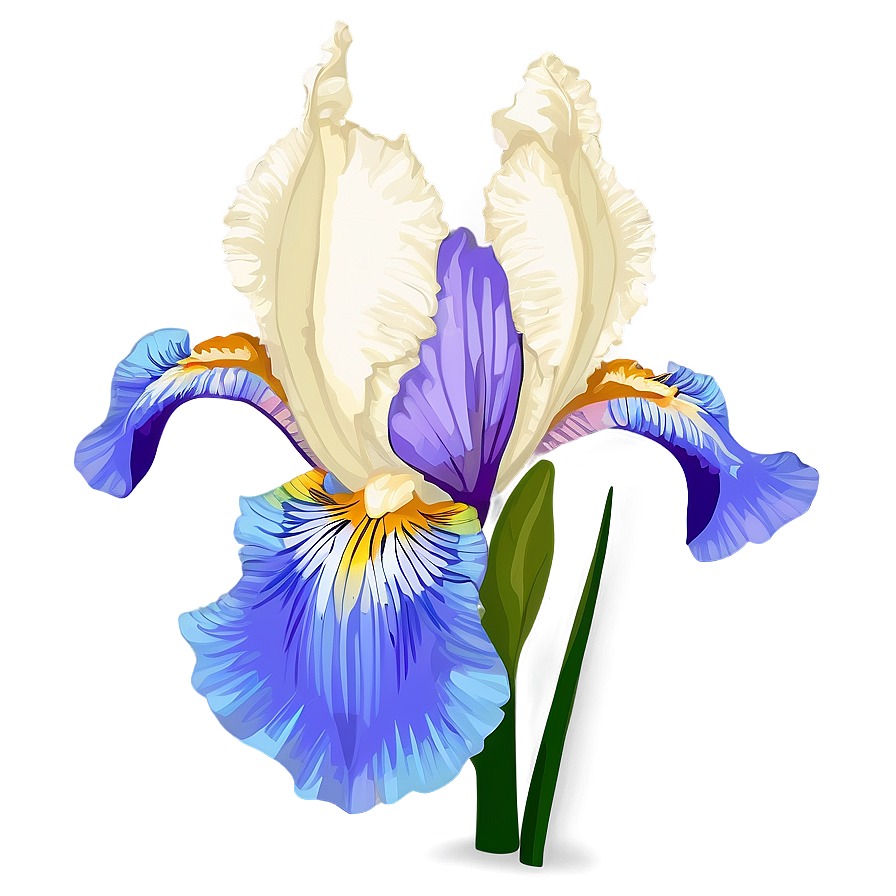 Dreamy Iris Png Eju PNG image