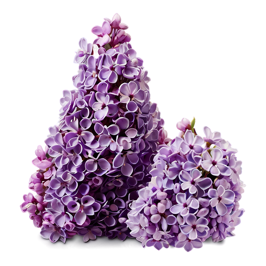 Dreamy Lilac Png 06122024 PNG image