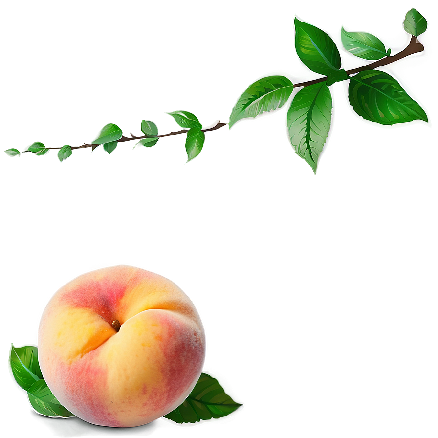 Dreamy Peach Picture Png 59 PNG image